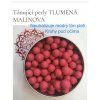 Perly pro Tonovani Pleti Odstin Tlumena Malinova 2